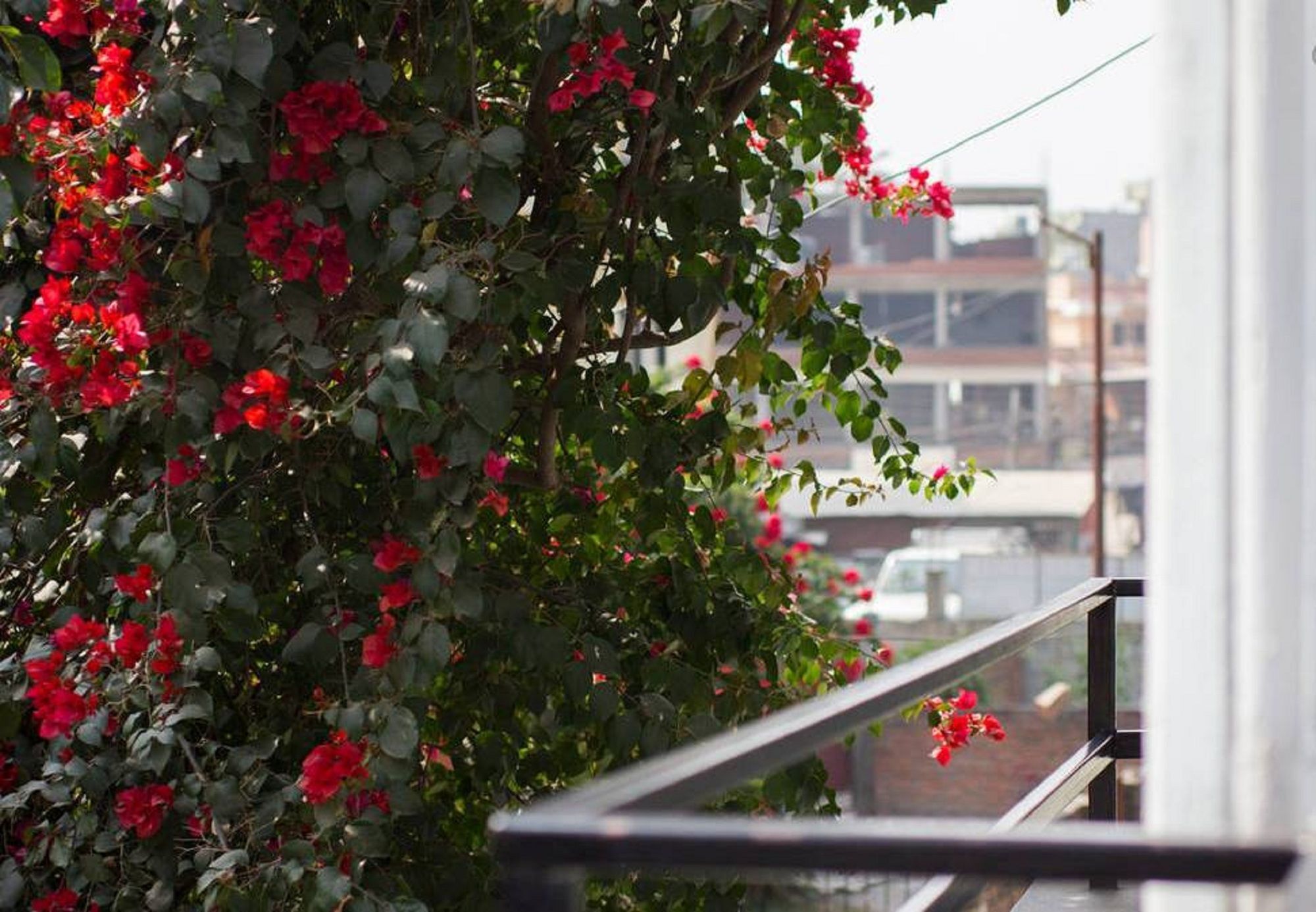 Le Rhododendron Chambres D'Hotes Kathmandu Bagian luar foto
